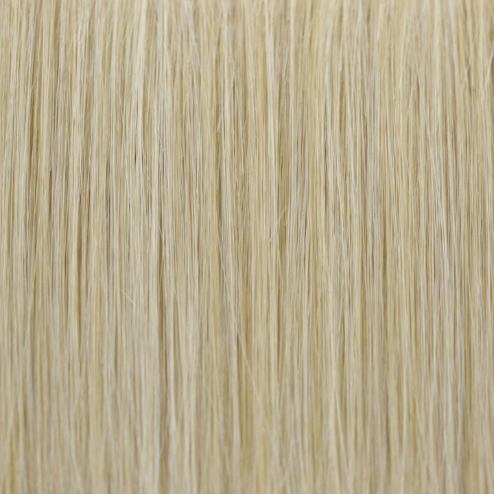 22R Champagne Glow | Light Golden Blonde