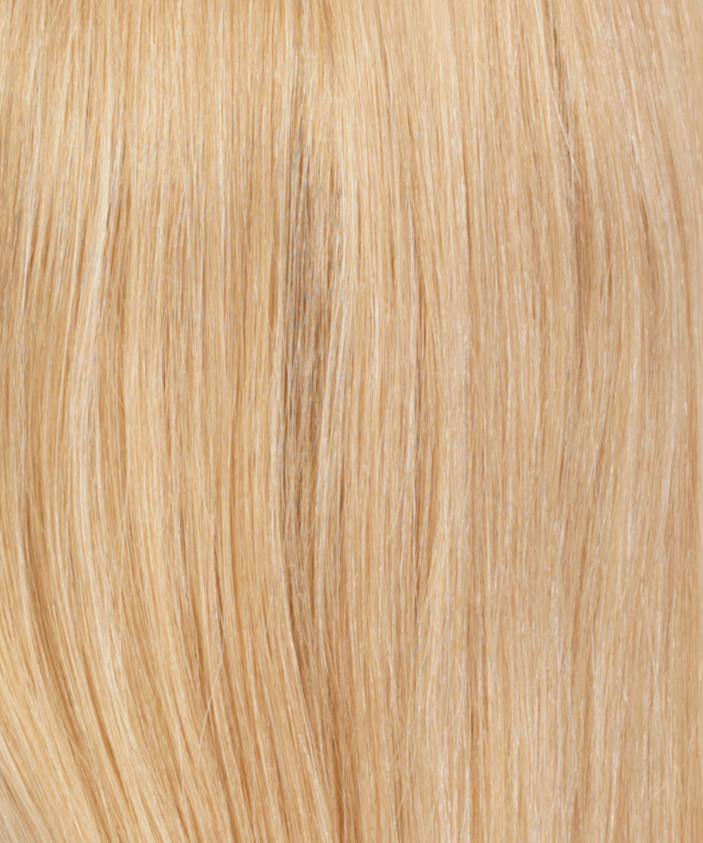 RT613/27 - Light Auburn Tipped with Pale Blonde