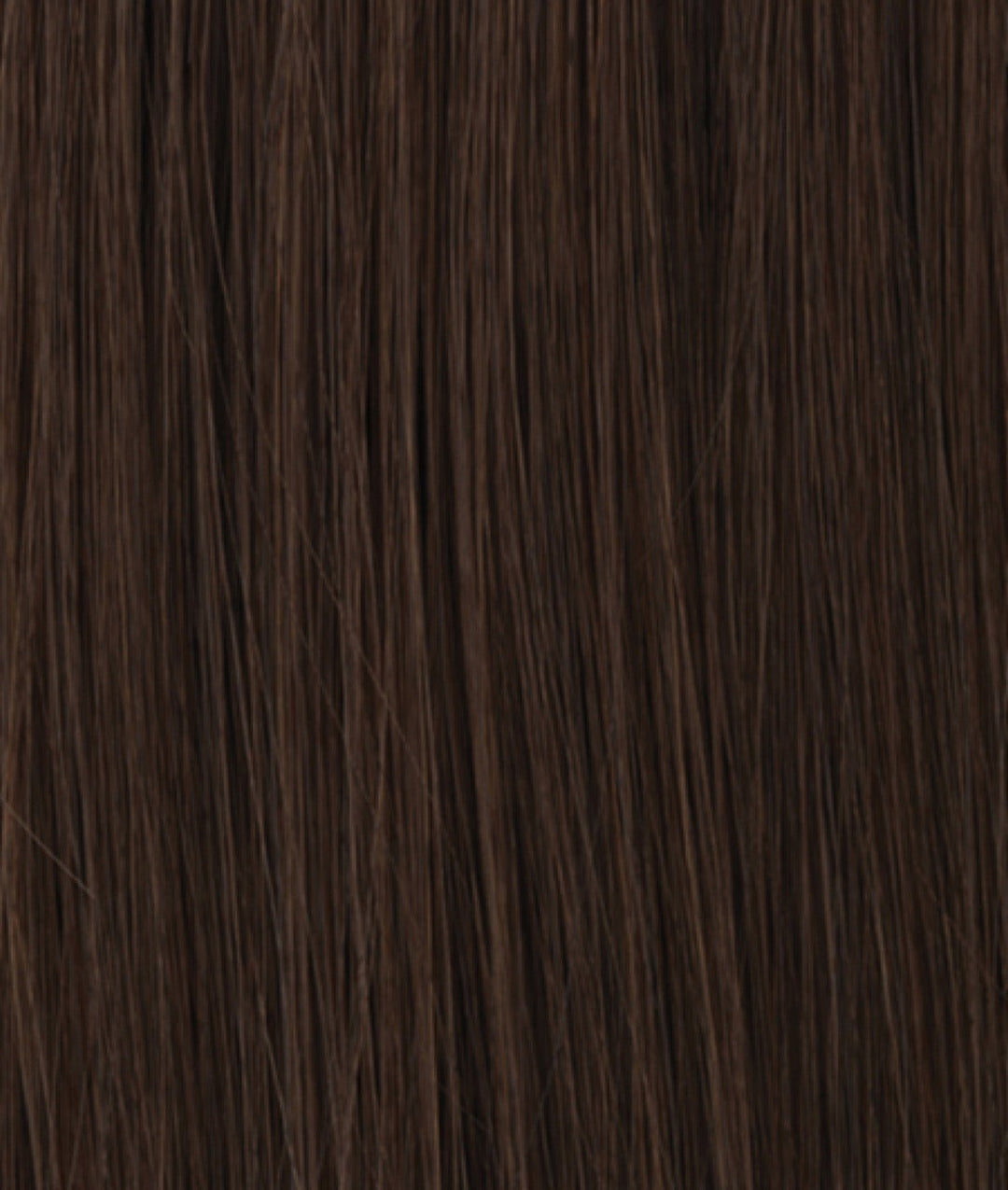 BL3 Chestnut Brown