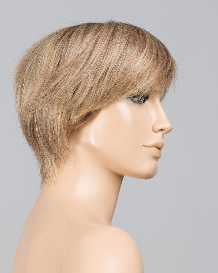 Beige Multi Frosted 15.49.18 | Light Ash Blonde And Medium Ash Blonde With Grey Blend And Dark Neutral Blonde With A Soft Matte Finish