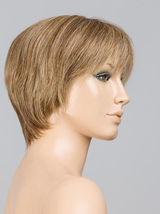 Bernstein Mix 12.26.830 | Lightest Brown And Light Golden Blonde With Medium Brown Blended With Light Auburn Blend