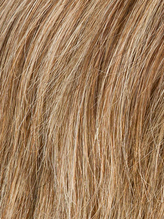 Bernstein Mix 12.26.830 | Lightest Brown And Light Golden Blonde With Medium Brown Blended With Light Auburn Blend