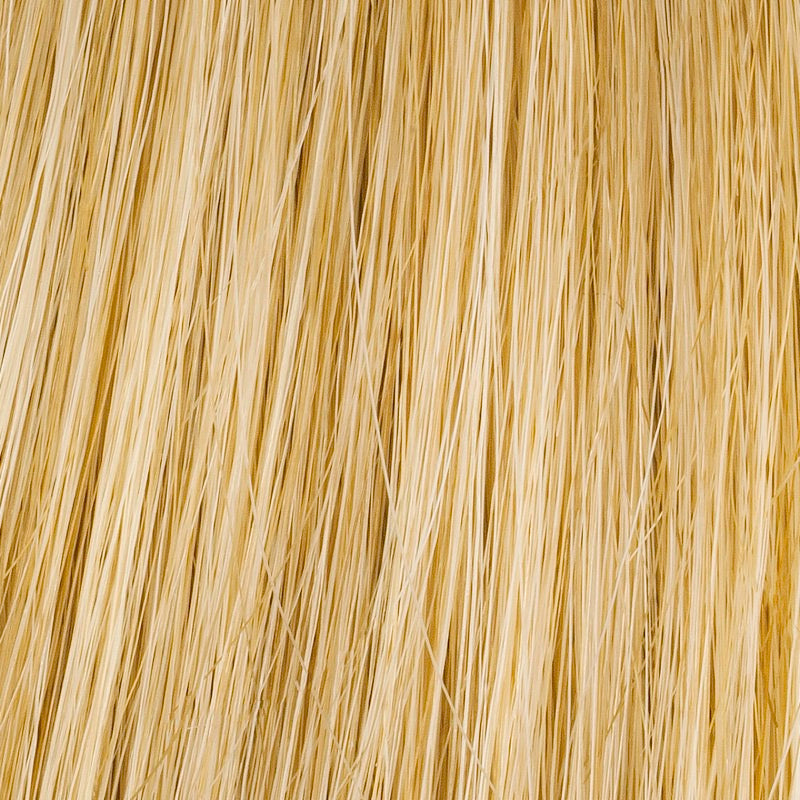 R25 Ginger Blonde