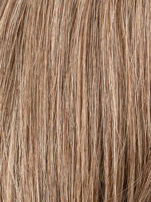 Bernstein Mix 12.26.830 | Lightest Brown And Light Golden Blonde With Medium Brown Blended With Light Auburn Blend