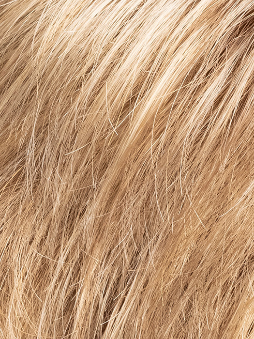 Caramel Mix 26.14.16 | Light Golden Blonde and Medium Ash Blonde with Medium Blonde Blend