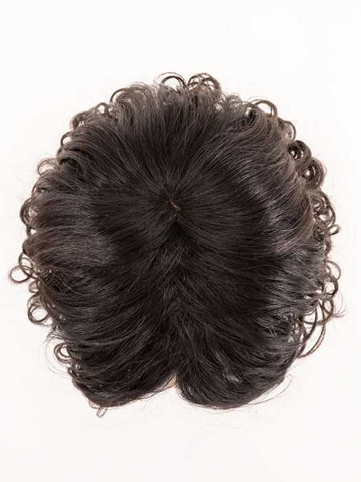 Dark Brown Tipped 4.2.6 | Darkest Brown/Black With Dark Brown Blend With Lighter Tipped Ends