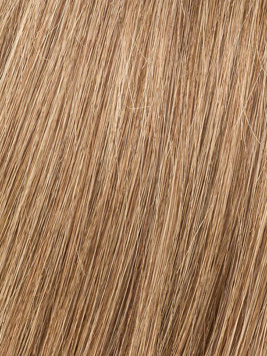 Bernstein Mix 12.26.830 | Lightest Brown And Light Golden Blonde With Medium Brown Blended With Light Auburn Blend