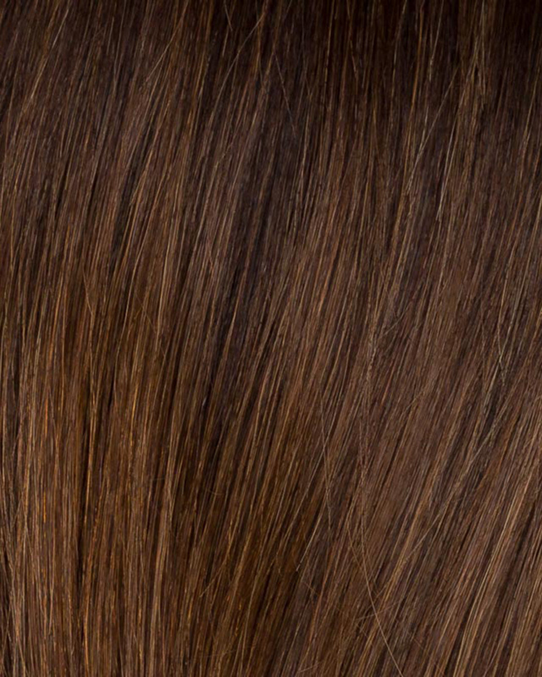 Chocolate Tipped 6.9.830 | Dark Brown and Medium Warm Brown With Medium Brown Blended With Light Auburn With Tipped Ends and Shaded Roots