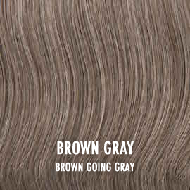 Ponytail Straight in Brown Gray