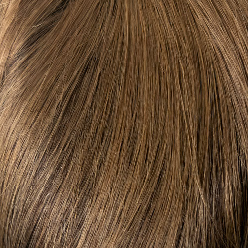 04/08GR - Dark Brown w/Light Chestnut Brown Front and Temple