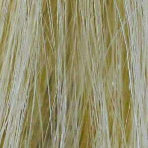 Remy Human Hair Topper 10" in Starlight Blonde